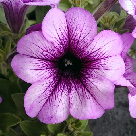 2014-05-02 12.23.53