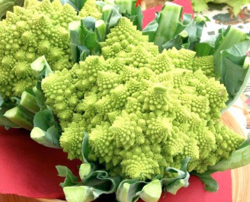 cavolfiore-romanesco