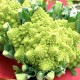 cavolfiore-romanesco