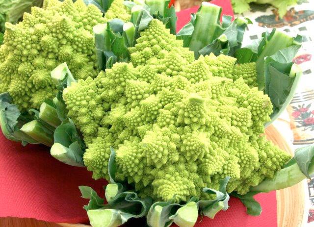 cavolfiore-romanesco