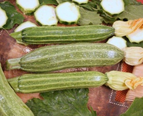 zucchino-romanesco