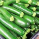 zucchino-scuro